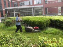 園藝養(yǎng)護