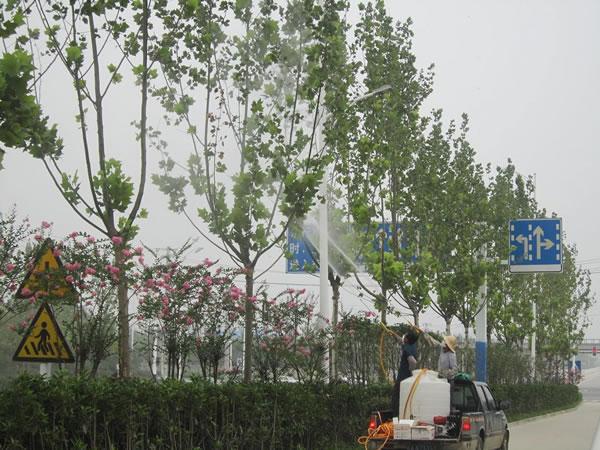 園藝養(yǎng)護