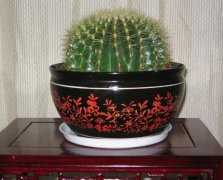 精裝金虎
