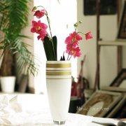 接待臺(tái)花