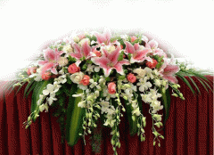 會(huì)議臺(tái)花