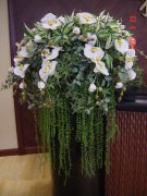 會(huì)議臺(tái)花