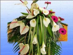 會(huì)議臺(tái)花