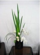茶幾用花