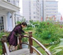 屋頂花園